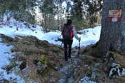69 Sul sent. 503 panoramico per Cornalba